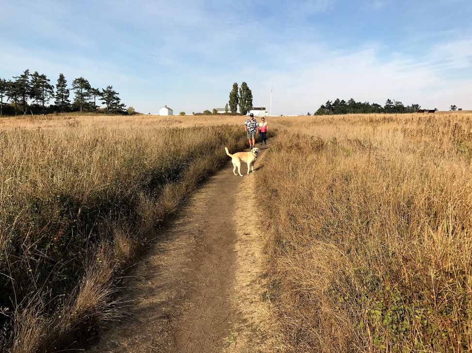 Pet Friendly San Juan Island