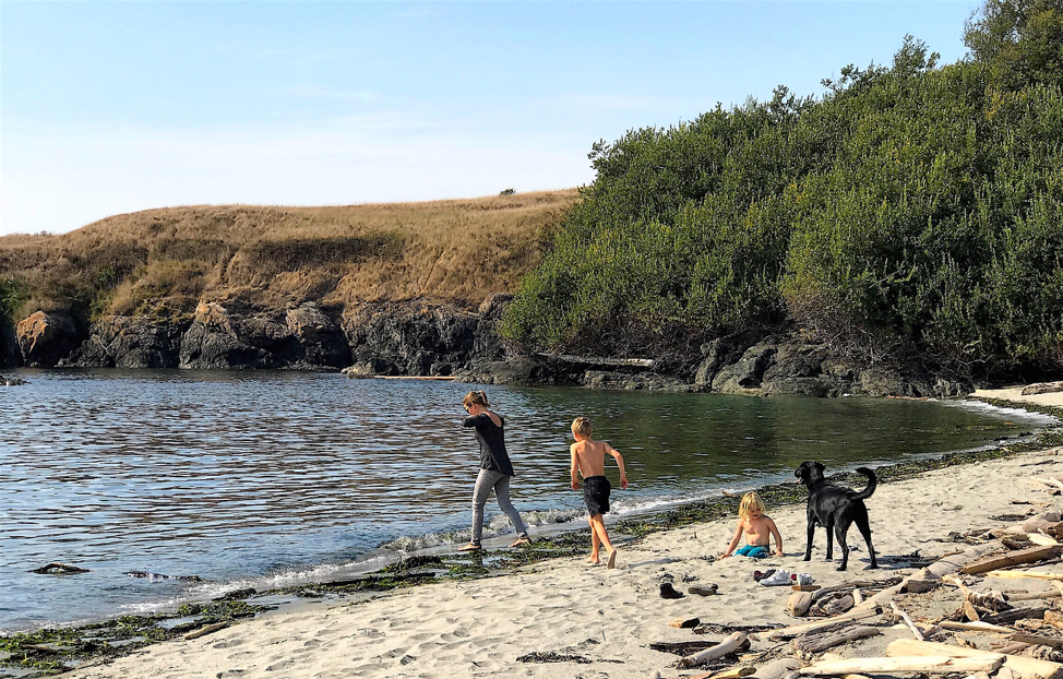 Swimming in Grandma's Cove