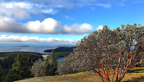 View from the top of Mt. Young in English Camp National Historic Park