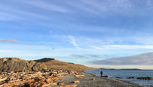 South Beach in American Camp National Historic Park is San Juan Island’s longest beach