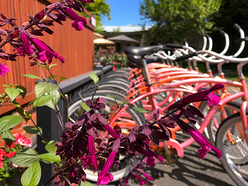 Earthbox Inn & Spa - Free Beach Cruiser Bicycles