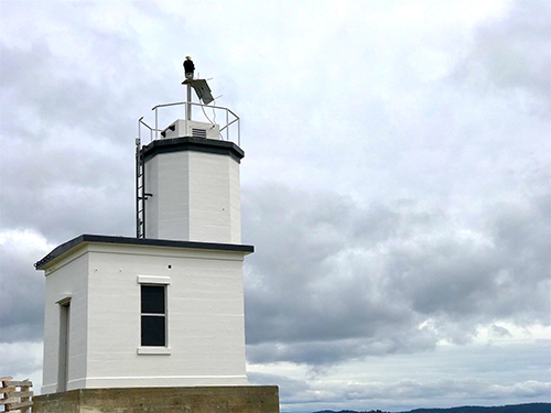 Guilt-free vacation on San Juan Island