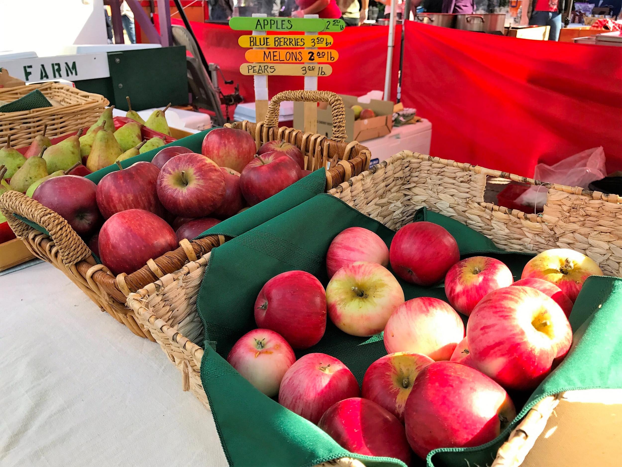 Guiltless Snacks at San Juan island’s Farmer’s Market