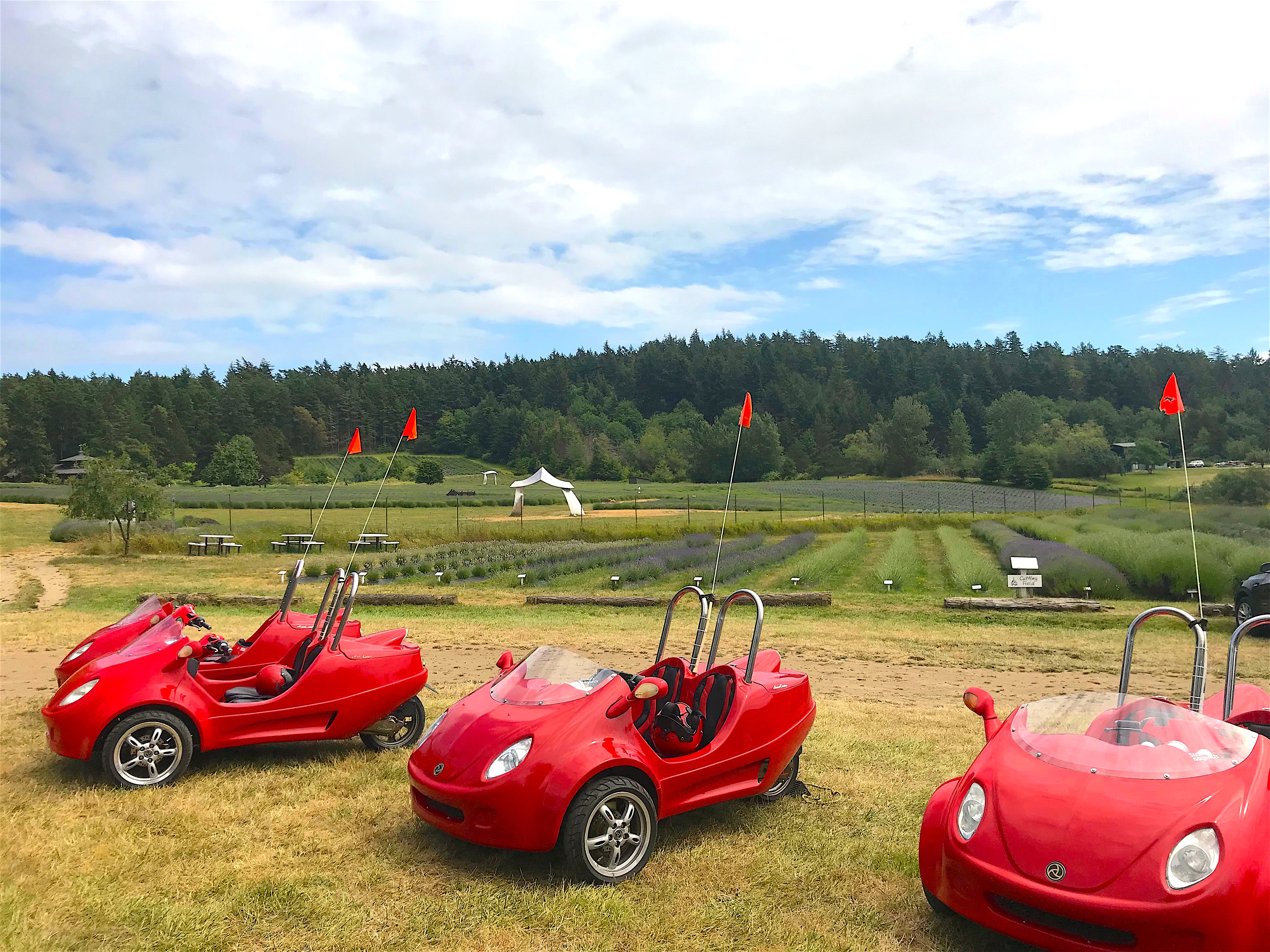 Scootcars on San Juan Island