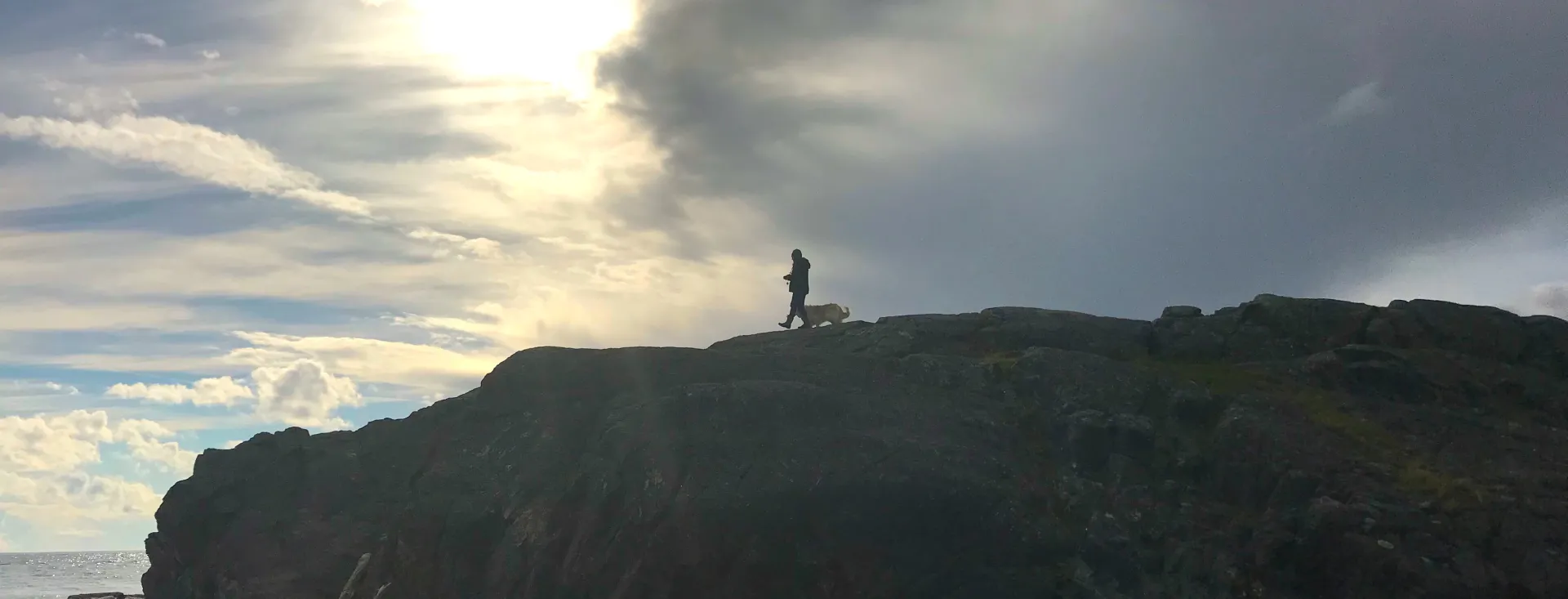 Dog-Friendly San Juan Island