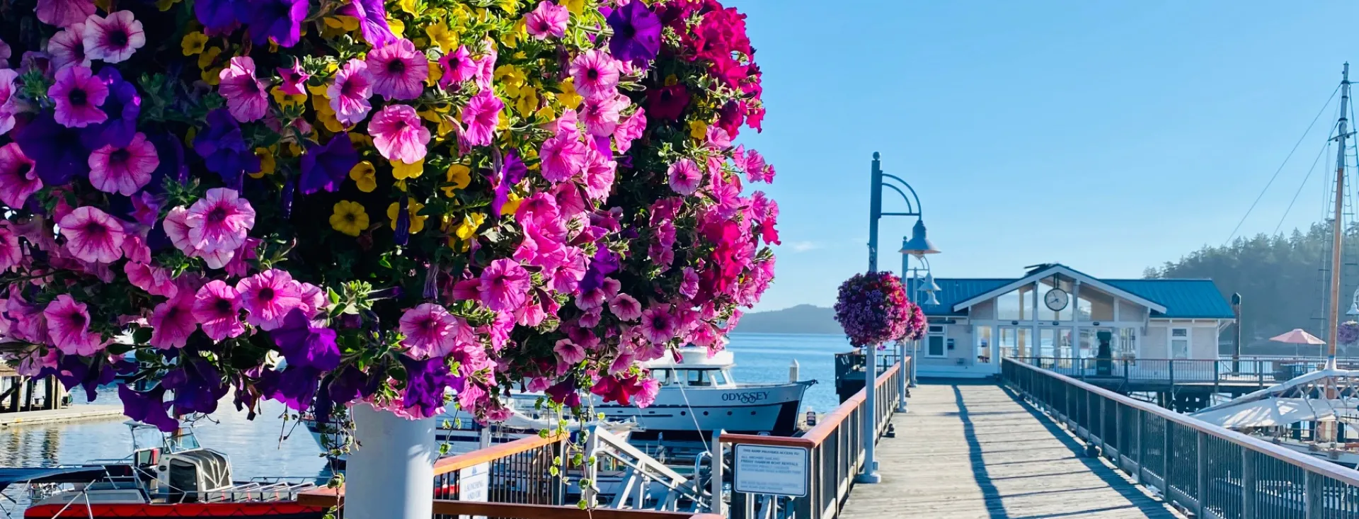 Friday Harbor, Washington
