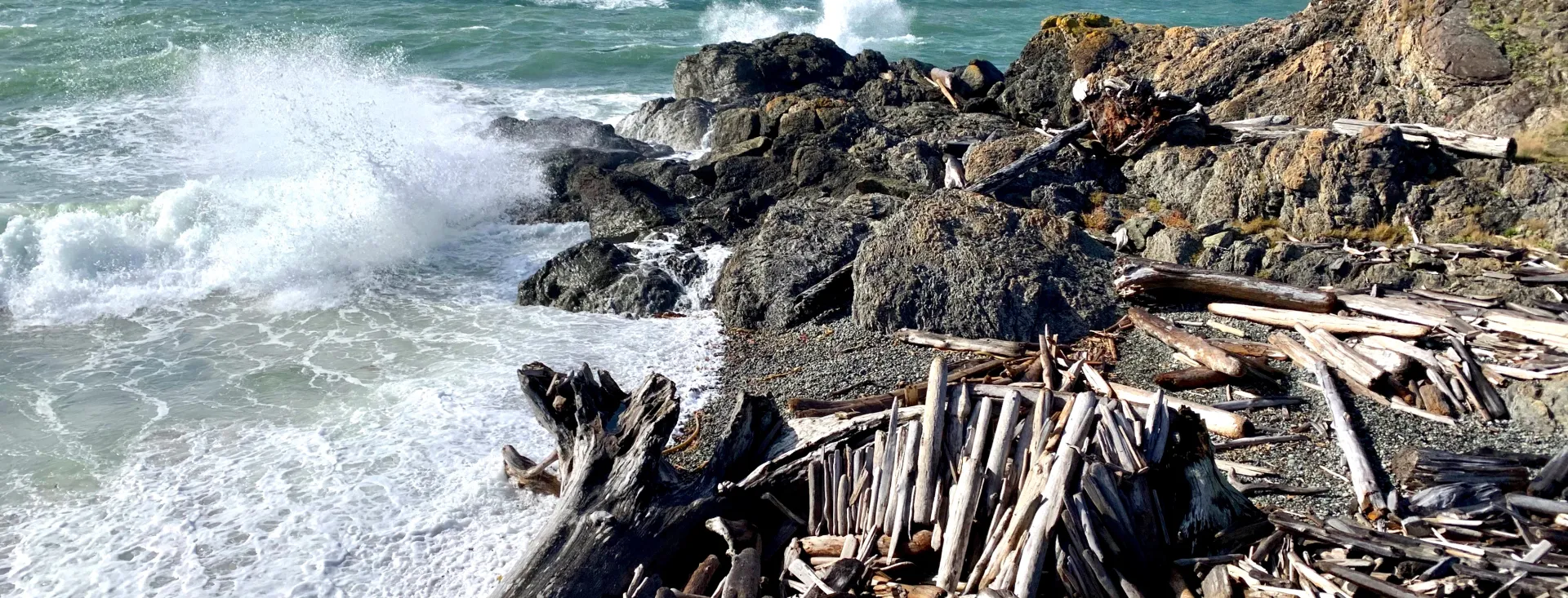 San Juan Island, Washington