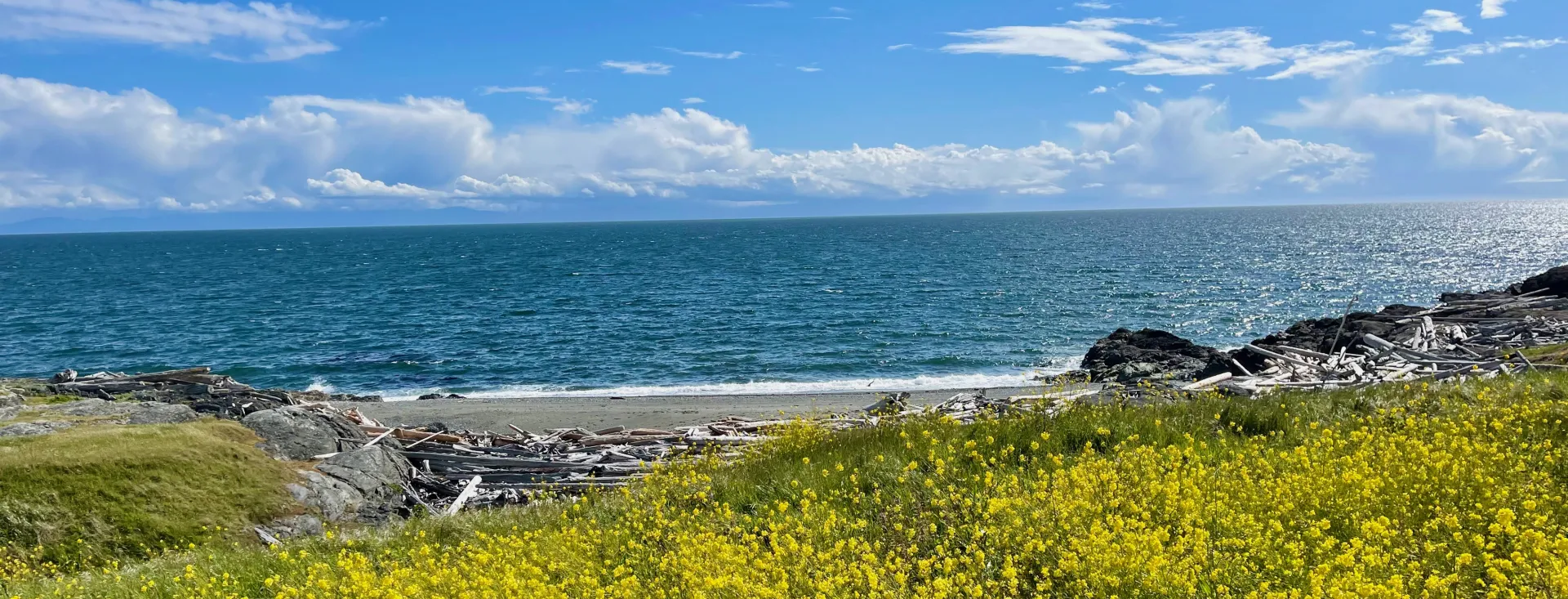 San Juan Island, Washington