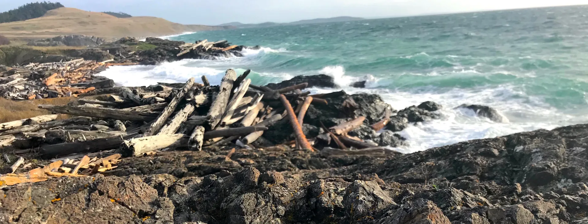 San Juan Island, Washington