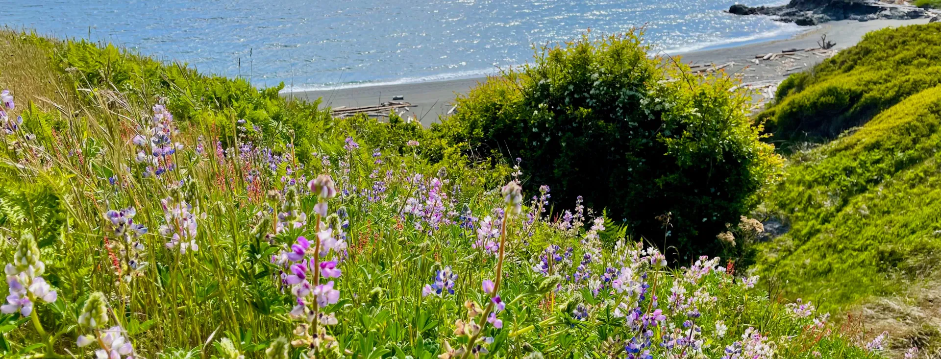 San JUan Island, Washington