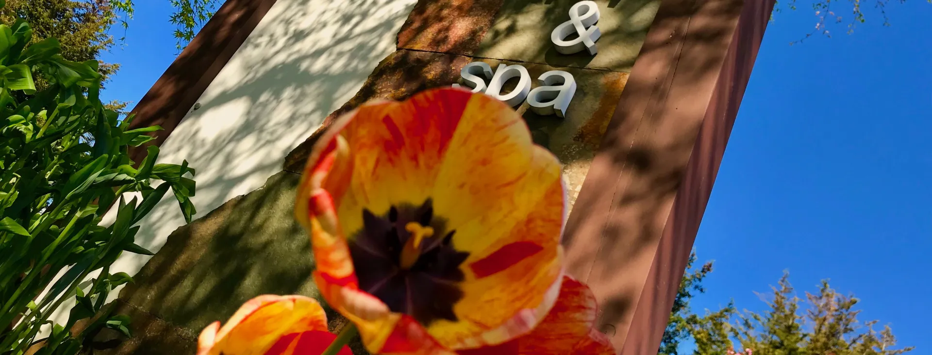 Earthbox Inn & Spa, Friday Harbor, WA