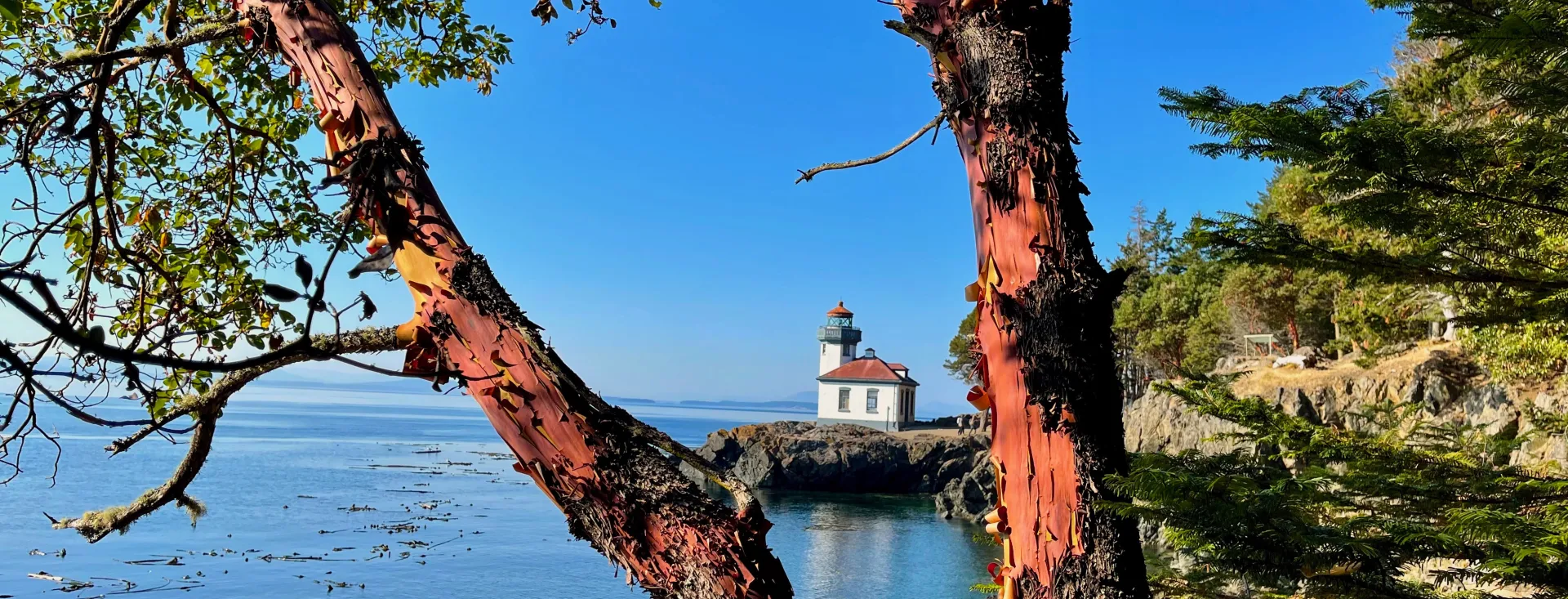 San Juan Island, Washington