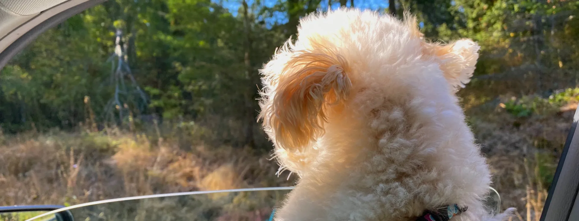 San Juan Island, Washington