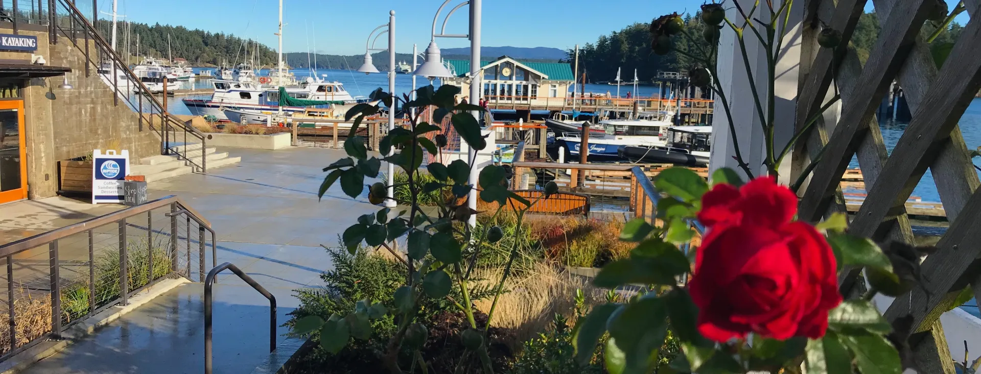 Friday Harbor, Washington
