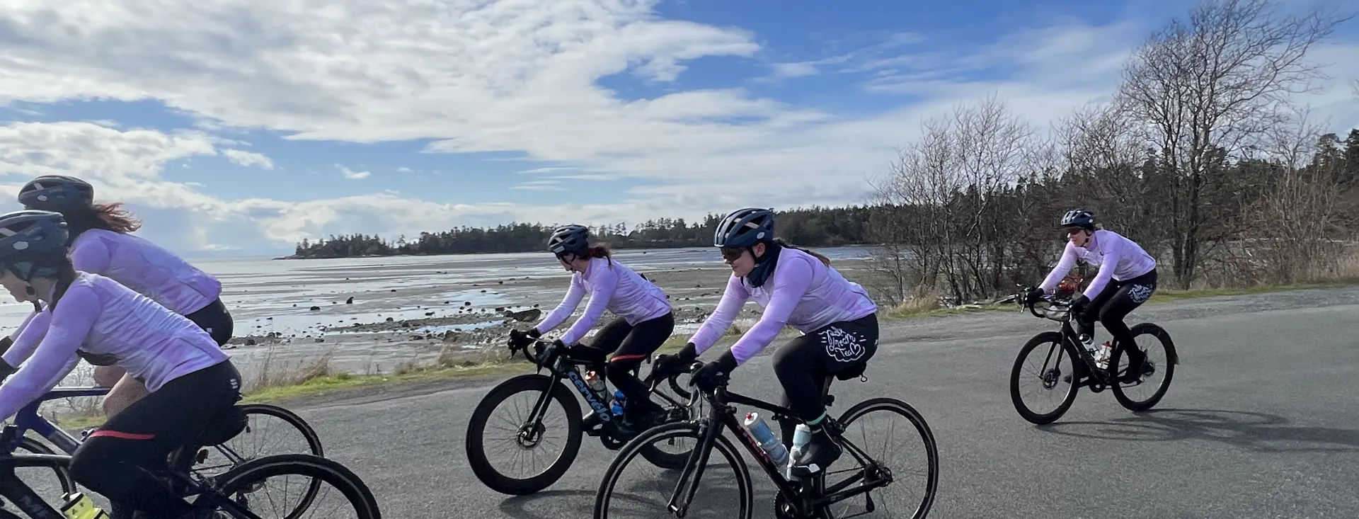 PDX DreamTeam on San Juan Island