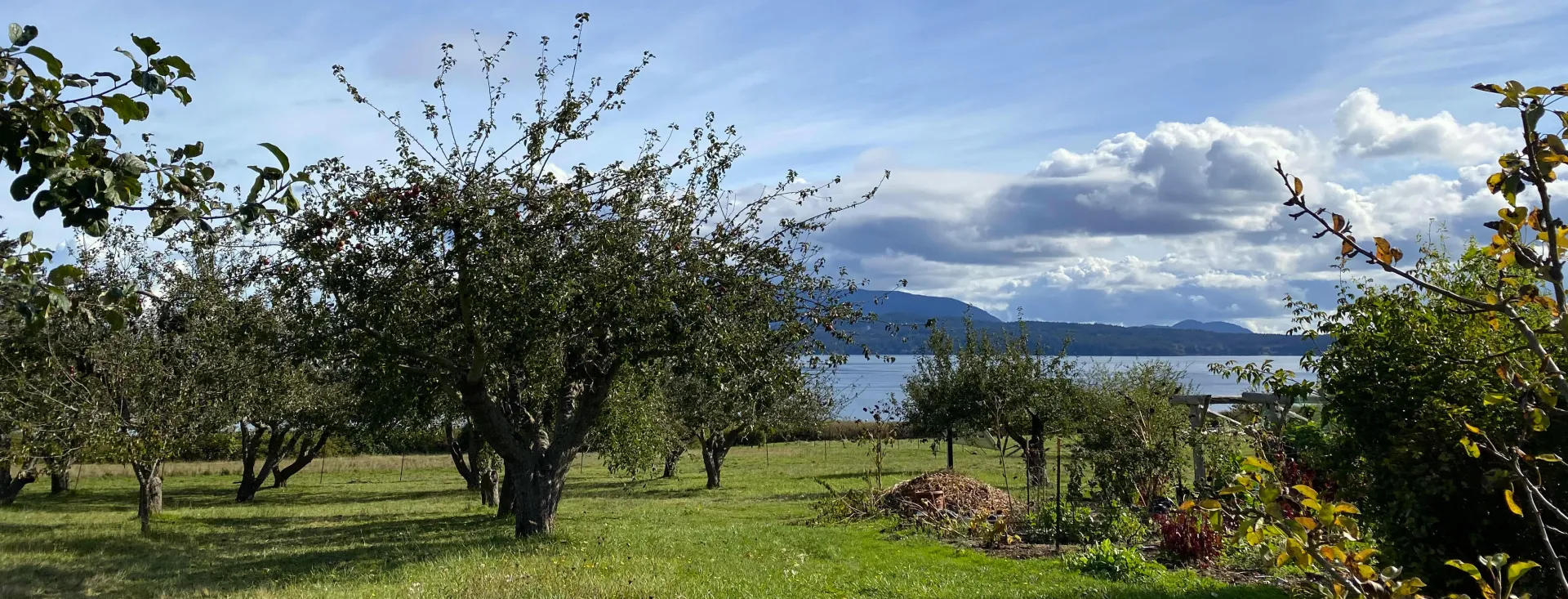 San Juan Island, Washington