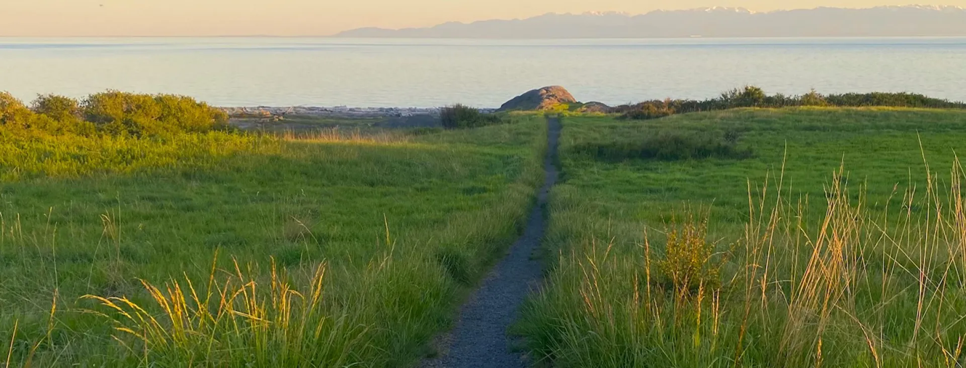Path to the Salish Sea
