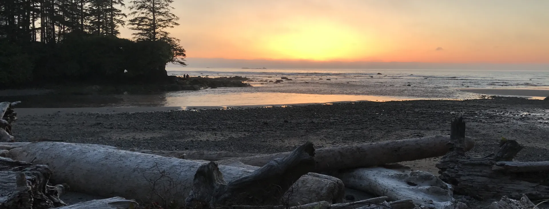 Be Free on San Juan Island