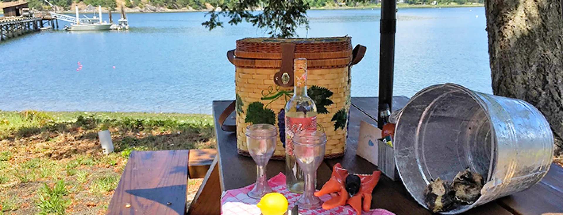 San Juan Island Picnic