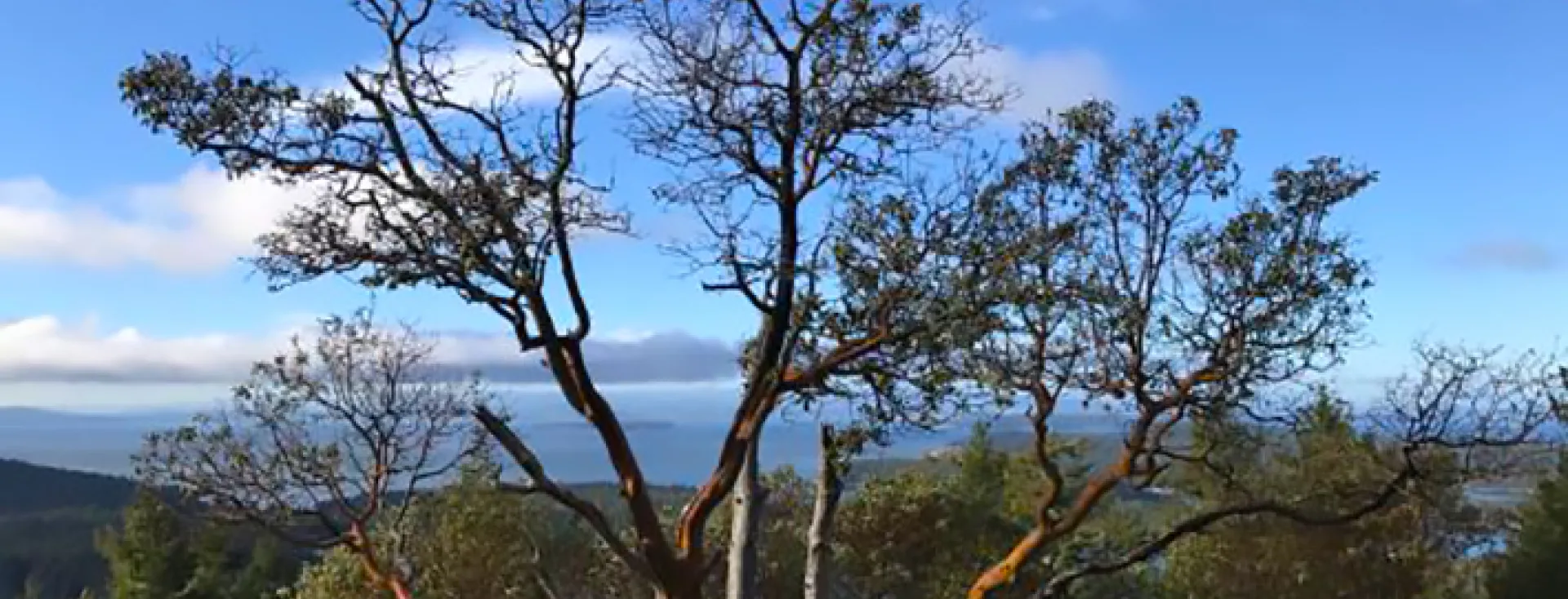 View from Mt Young San Juan Island Washington Mt. Young San Juan Island Washington