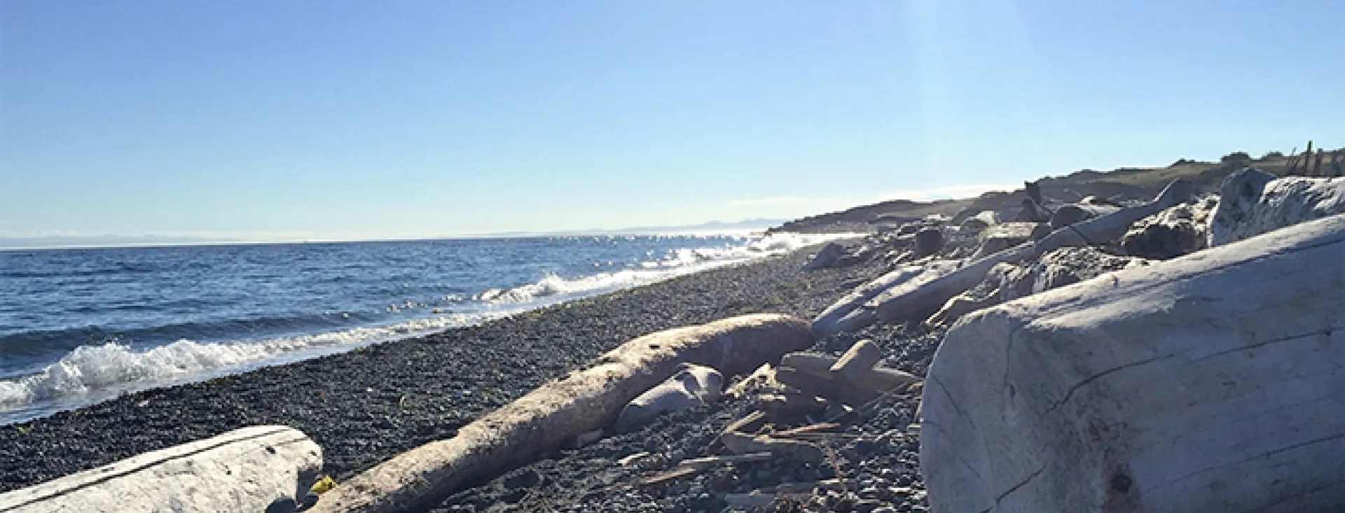 San Juan Island, Washington South Beach