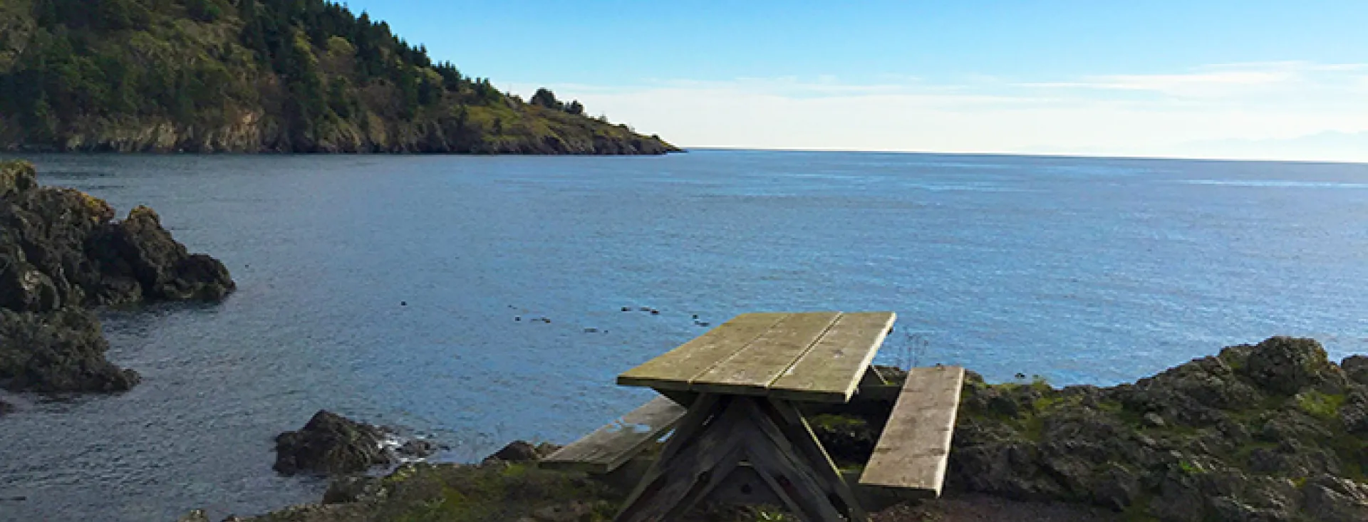 Picnic Table at the Whale Watch Park on San Juan Island
