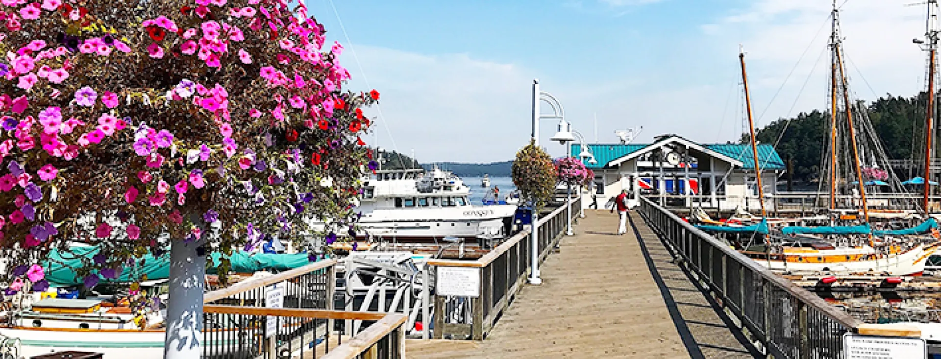 Beautiful Friday Harbor, Washington