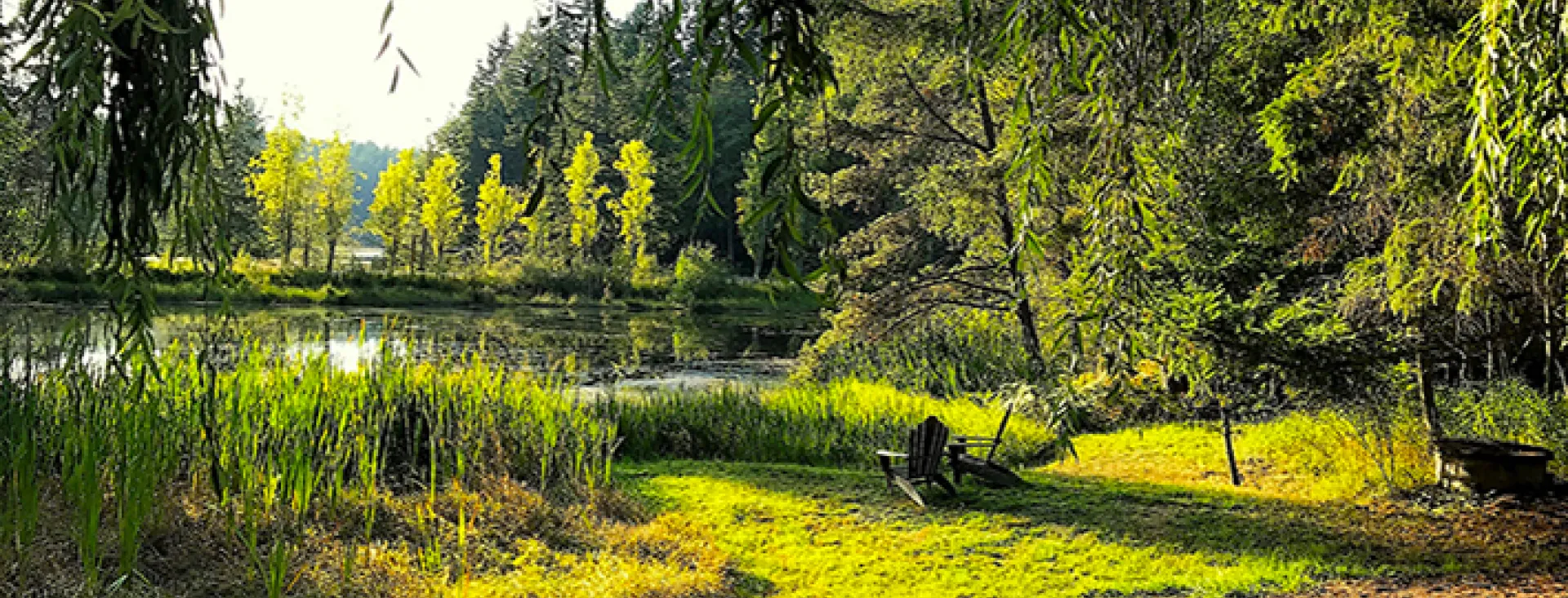 The View from Duck Soup, San Juan Island, Washington