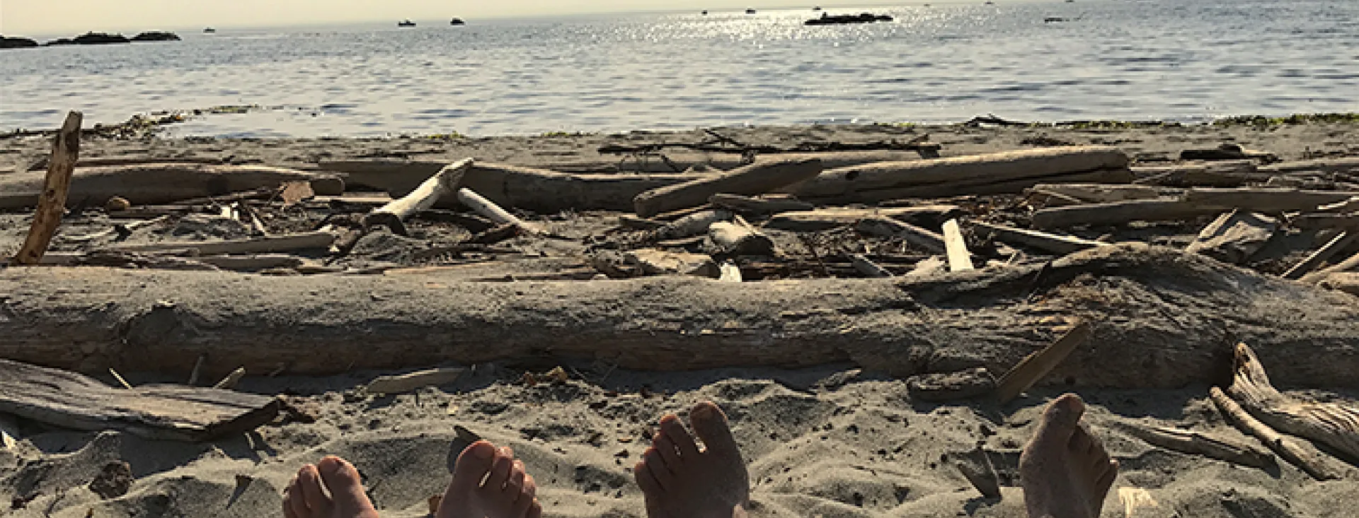 Guilt Free Vacation on San Juan Island