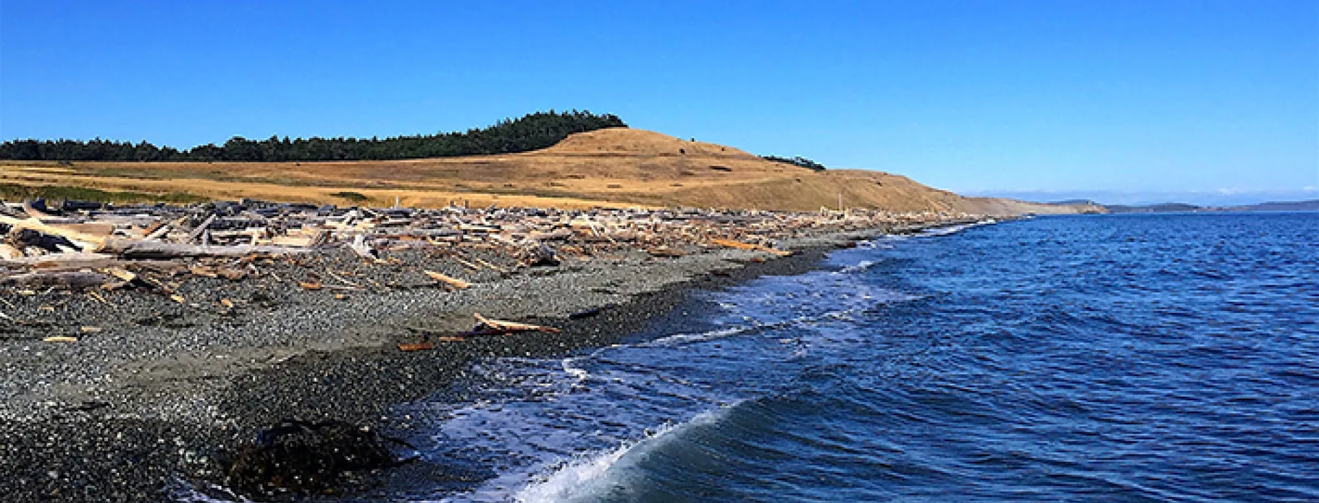 Beautiful South Beach on San Juan Island
