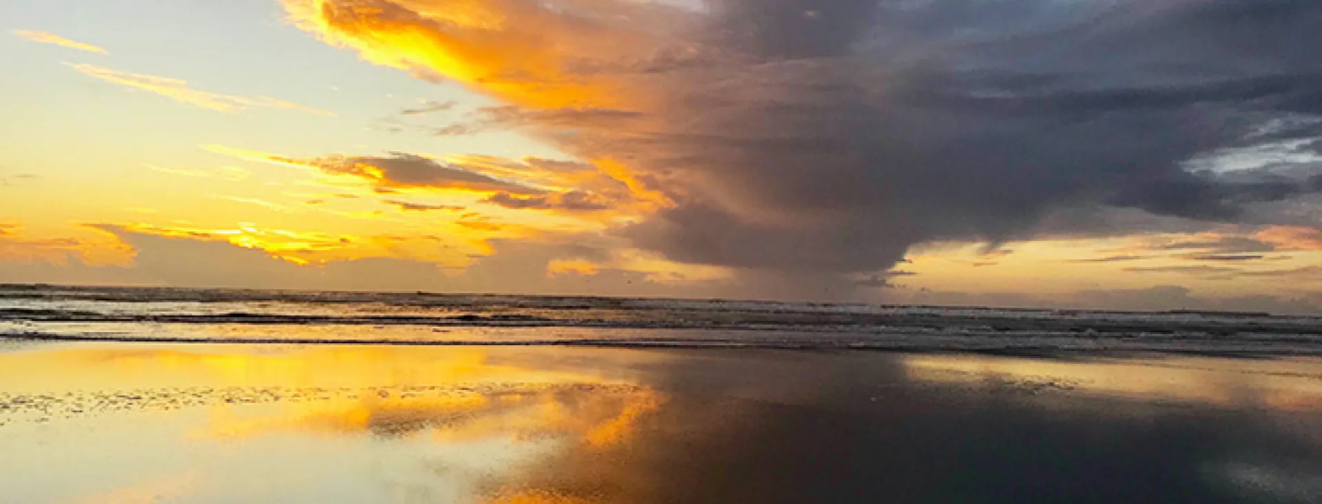 Nature on San Juan Island