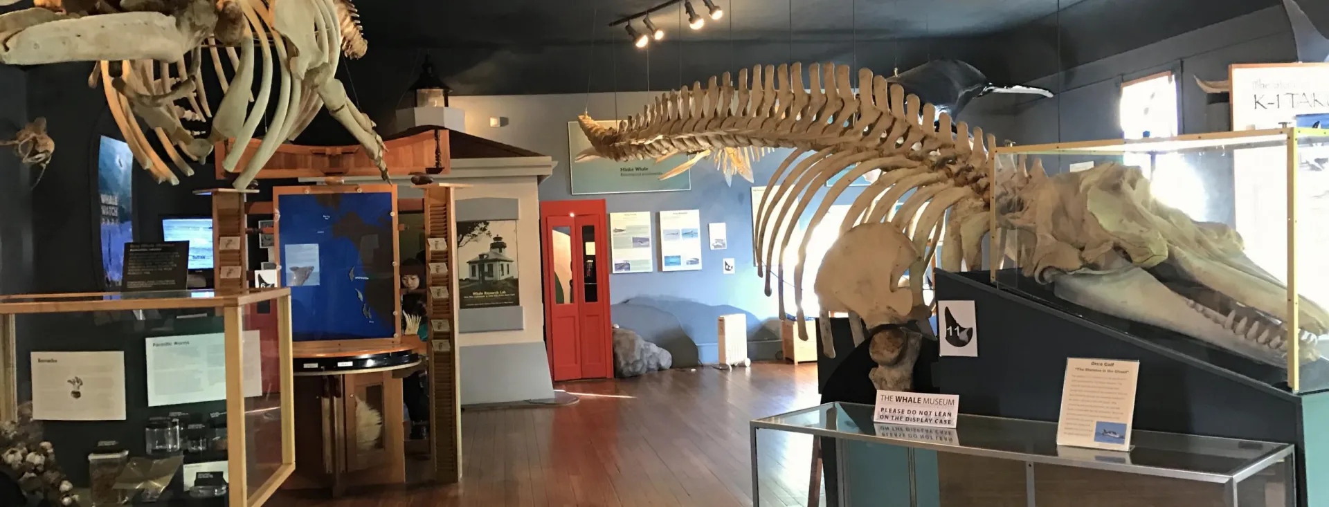 Slumber Party at The Whale Museum Pod Nods at The Whale Museum in Friday Harbor