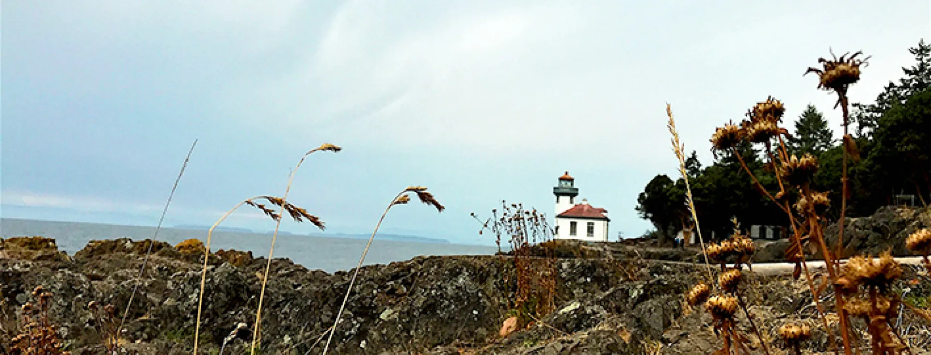 Fight the Winter Blues at San Juan Island's Whale Watch Park Lime Kiln Lighthouse on San Juan Island