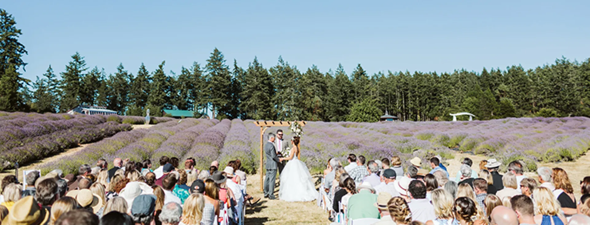 Wedding at the Lavender Farm on San Juan Island
