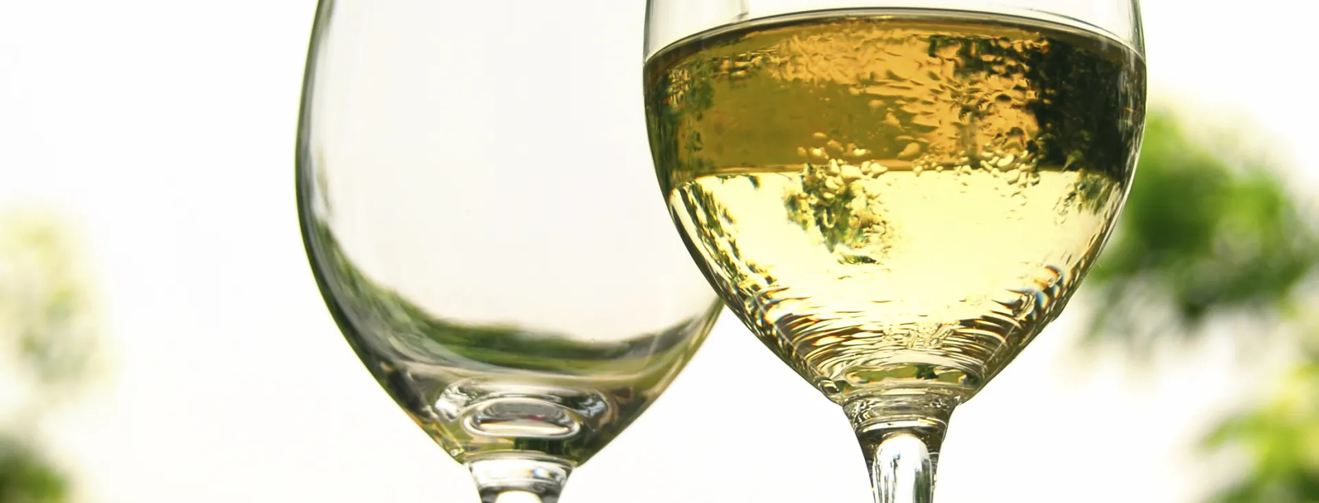 From Wine to History on San Juan Island