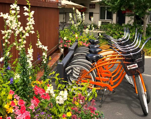 Complimentary Beach Cruiser Bikes at the Earthbox Inn & Spa in Friday Harbor