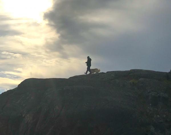 Dog-Friendly San Juan Island