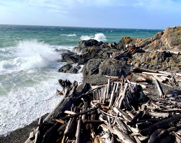 San Juan Island, Washington