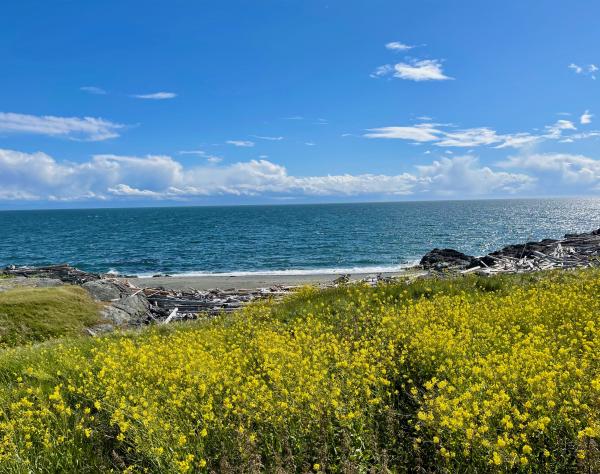San Juan Island, Washington