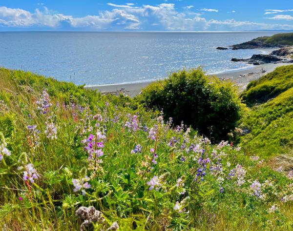San JUan Island, Washington