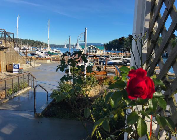 Friday Harbor, Washington