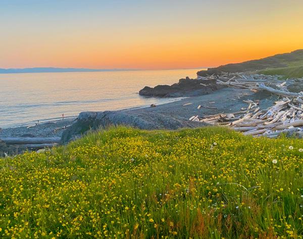 San Juan Island, Washington