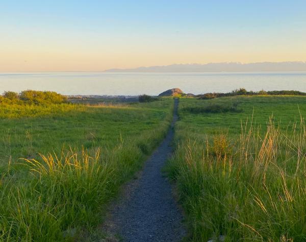 Path to the Salish Sea