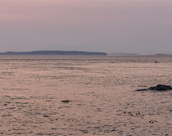 Christopher Teren Lime Kiln Lighthouse.jpg