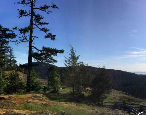 San Juan Island - Mount Grant