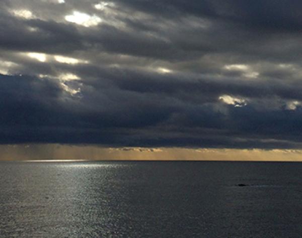 Things to do on San Juan Island When it Rains