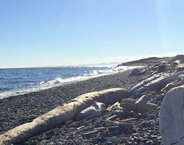 San Juan Island, Washington South Beach