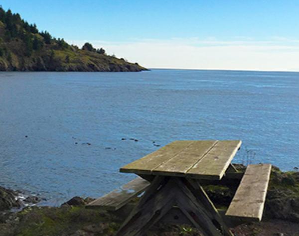 Picnic Table at the Whale Watch Park on San Juan Island