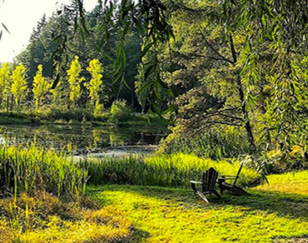 The View from Duck Soup The View from Duck Soup, San Juan Island, Washington
