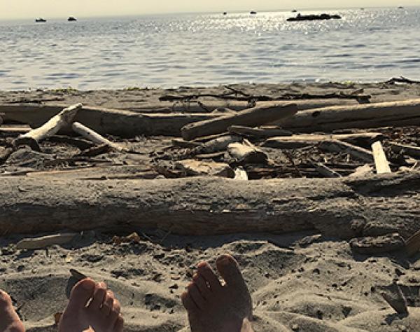 Guilt Free Travel on San Juan Island Guilt Free Vacation on San Juan Island
